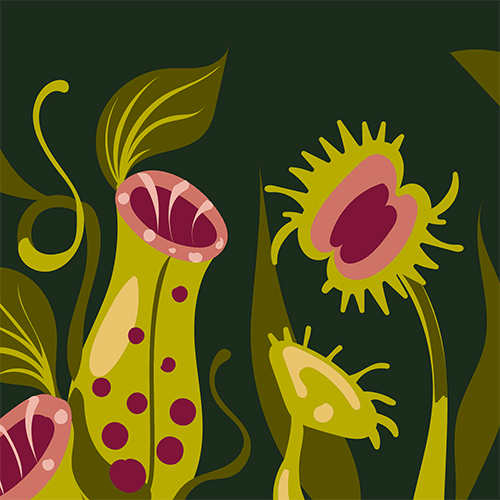 Pitcher Plant Crew Socks - ResirWrecked Costumes